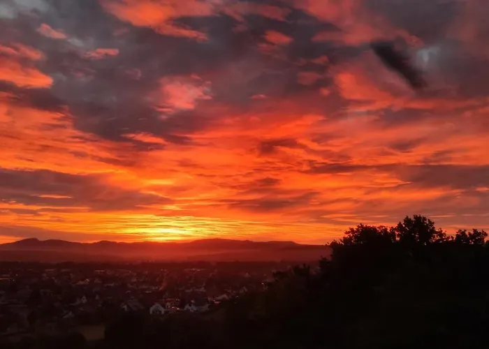 Hotel Der Florenberg - Gipfel Fuer Geniesser Kuenzell